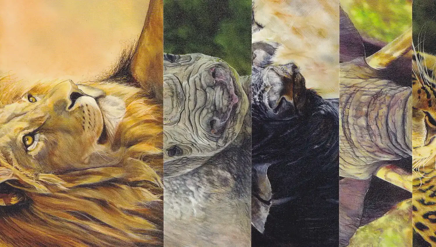 South Africa 2014 The Big 5 - Set of 5 Postcards