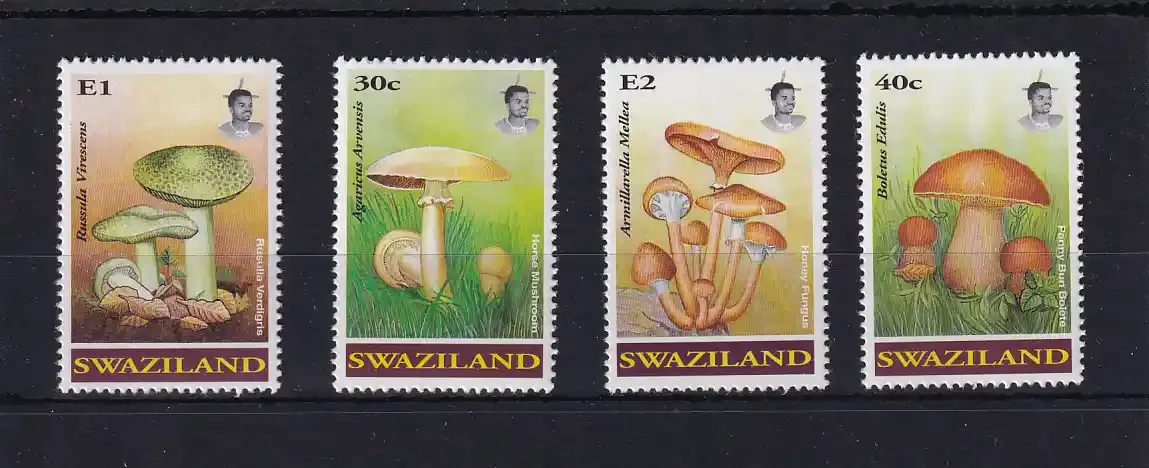 Swaziland 1994 Mushrooms. UMM
