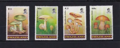 Swaziland 1994 Mushrooms. UMM