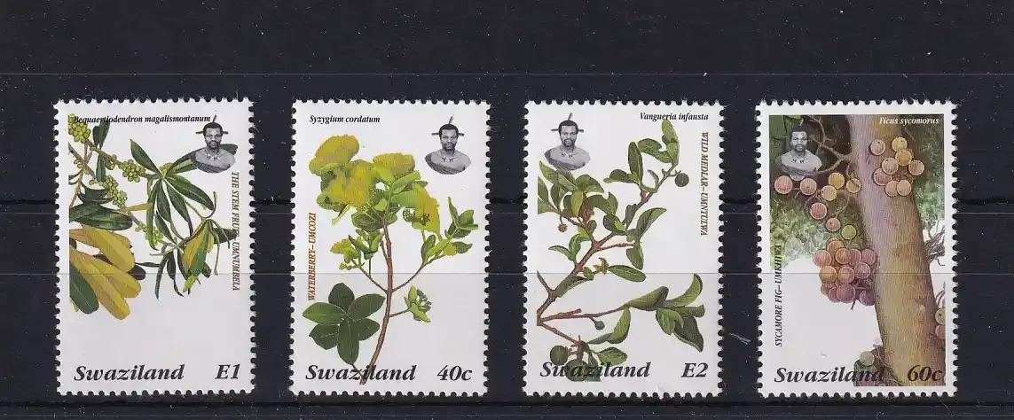 Swaziland 1996 Plants and Fruits. UMM