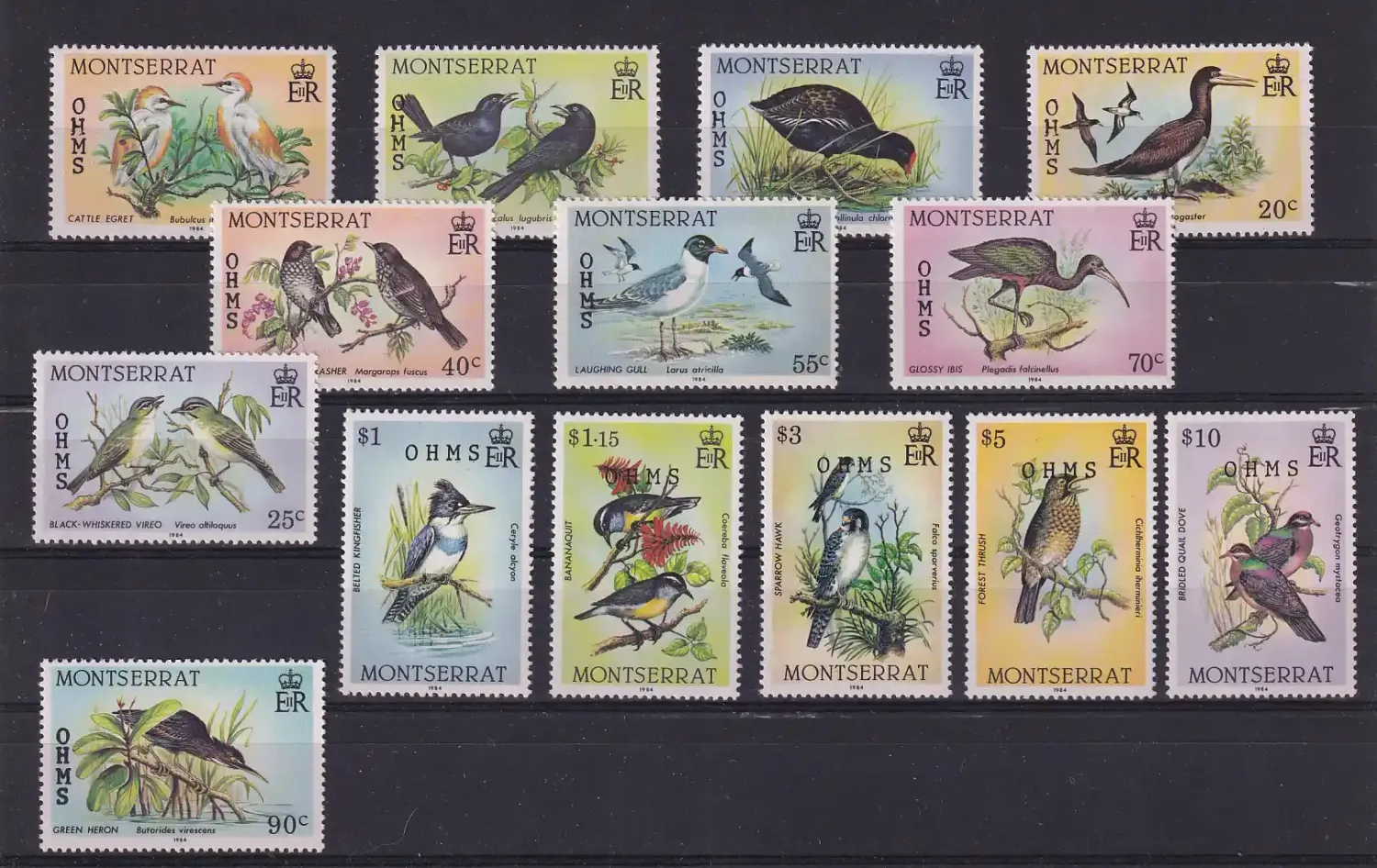 Montserrat 1985 Birds - Postage Stamps of 1984 Overprinted "O.H.M.S.". UMM