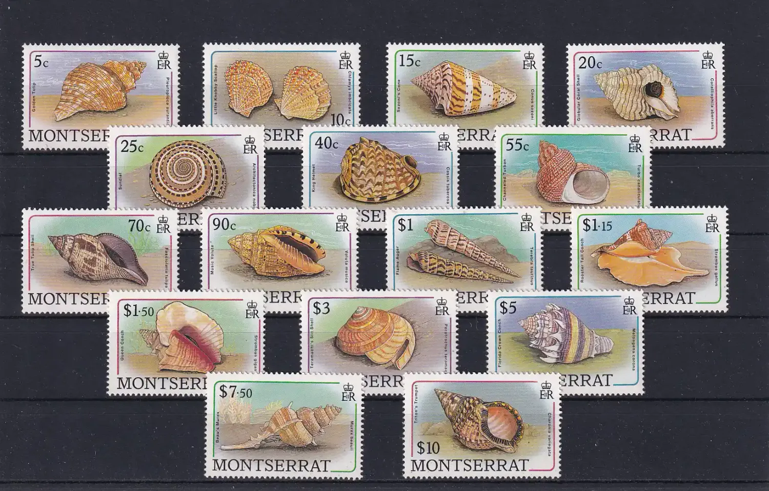 Montserrat 1988 Sea Shells. UMM