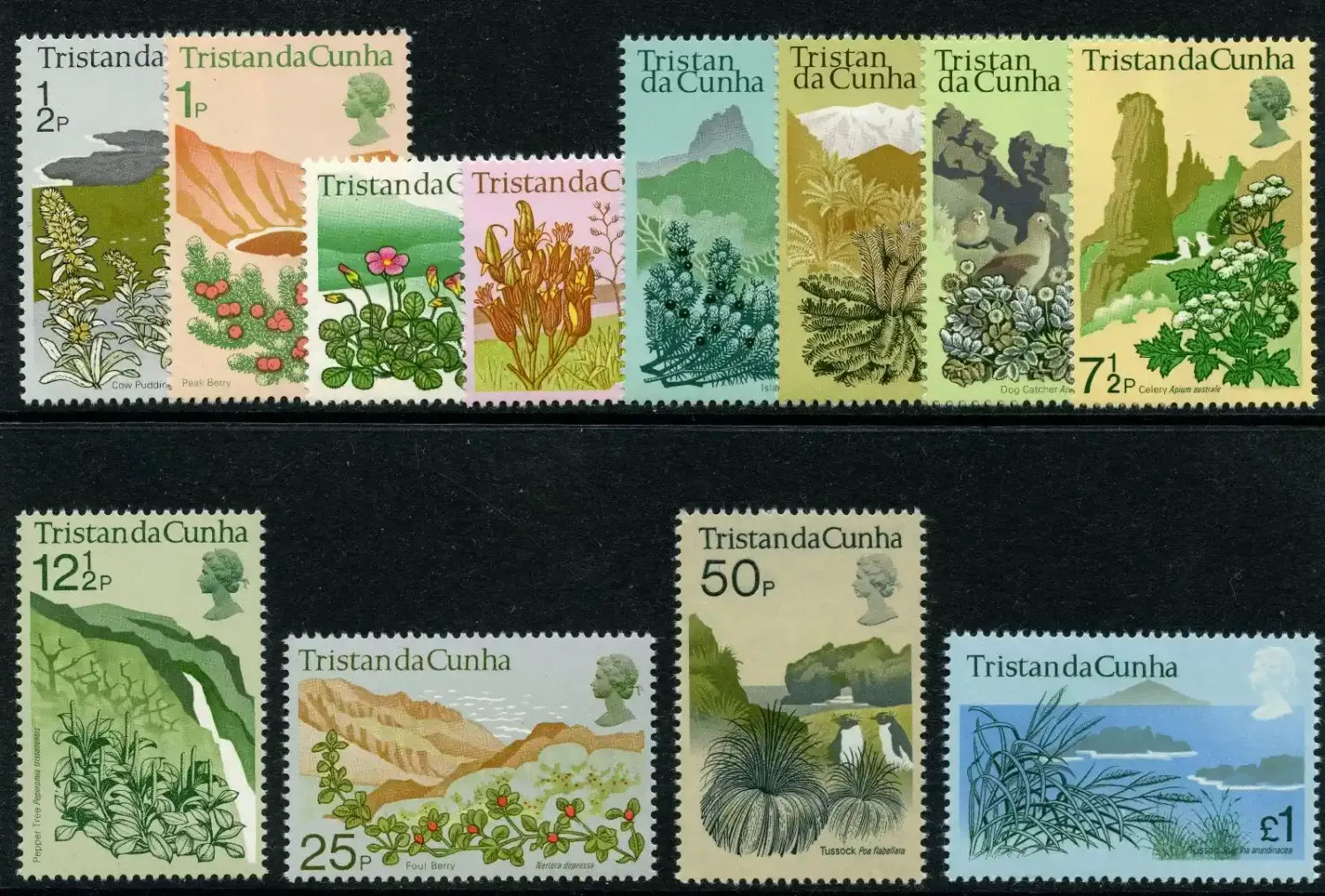 Tristan da Cunha 1972 QEII Plants set complete superb MNH.