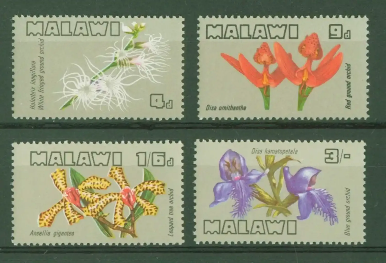 Malawi 1969 Orchids of Malawi. MNH Malawi 1969 Orchids of Malawi. MNH