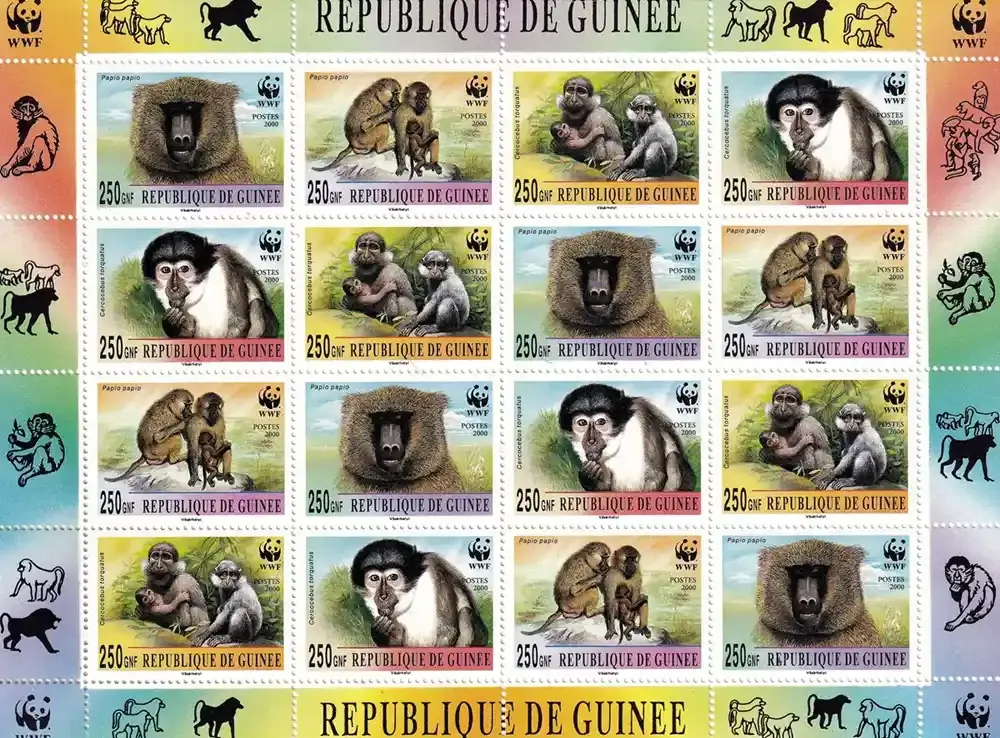 Guinea 2000 Mangabey, Baboon, Wild Mammals. WWF. MNH