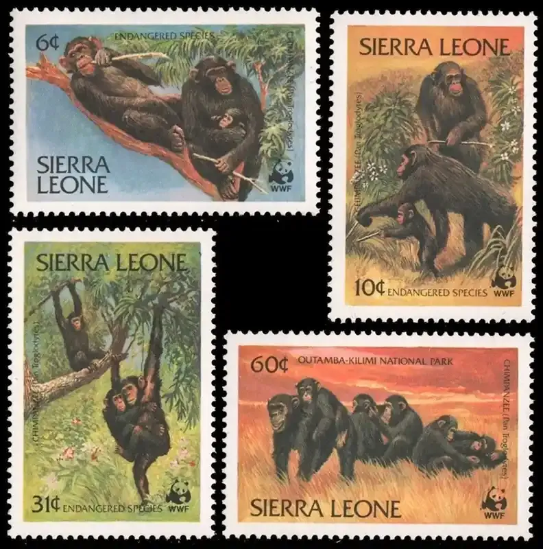 Sierra Leone 1983 Endangered Species - Mammals/Chimpanzees. WWF MNH