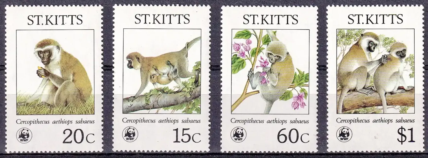 St. Kitts 1986 Endangered Mammals (WWF) - Green Monkeys on St. Kitts. MNH