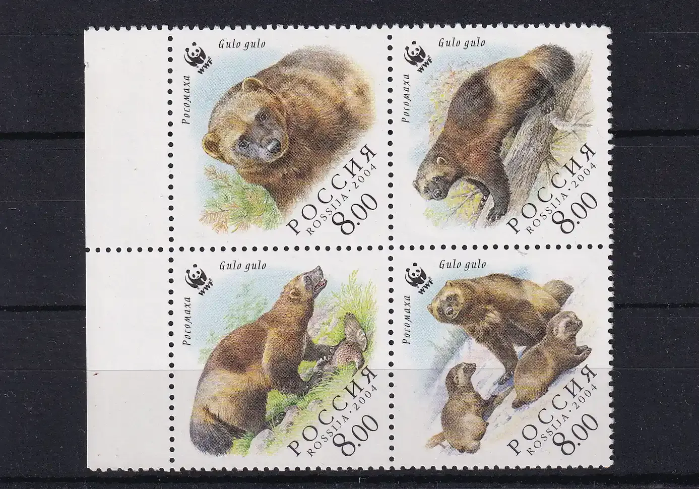Russia 2004 Wolverine. Mammals/WWF. MNH
