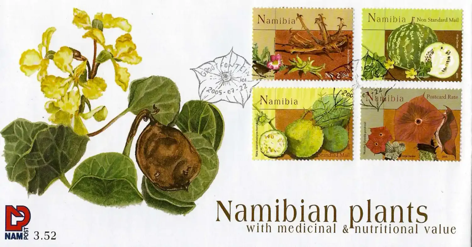 Namibia	2005 Medicinal Plants