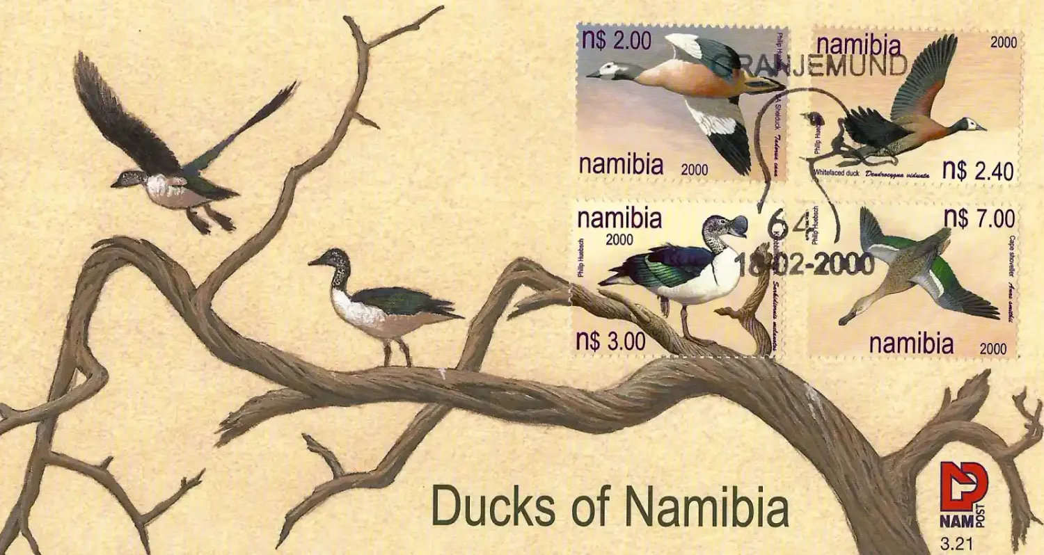 Namibia	2000 Ducks, Birds