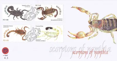 Namibia	2012 Scorpions
