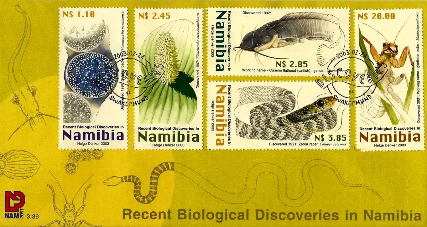 Namibia	2003 Biological Discoveries