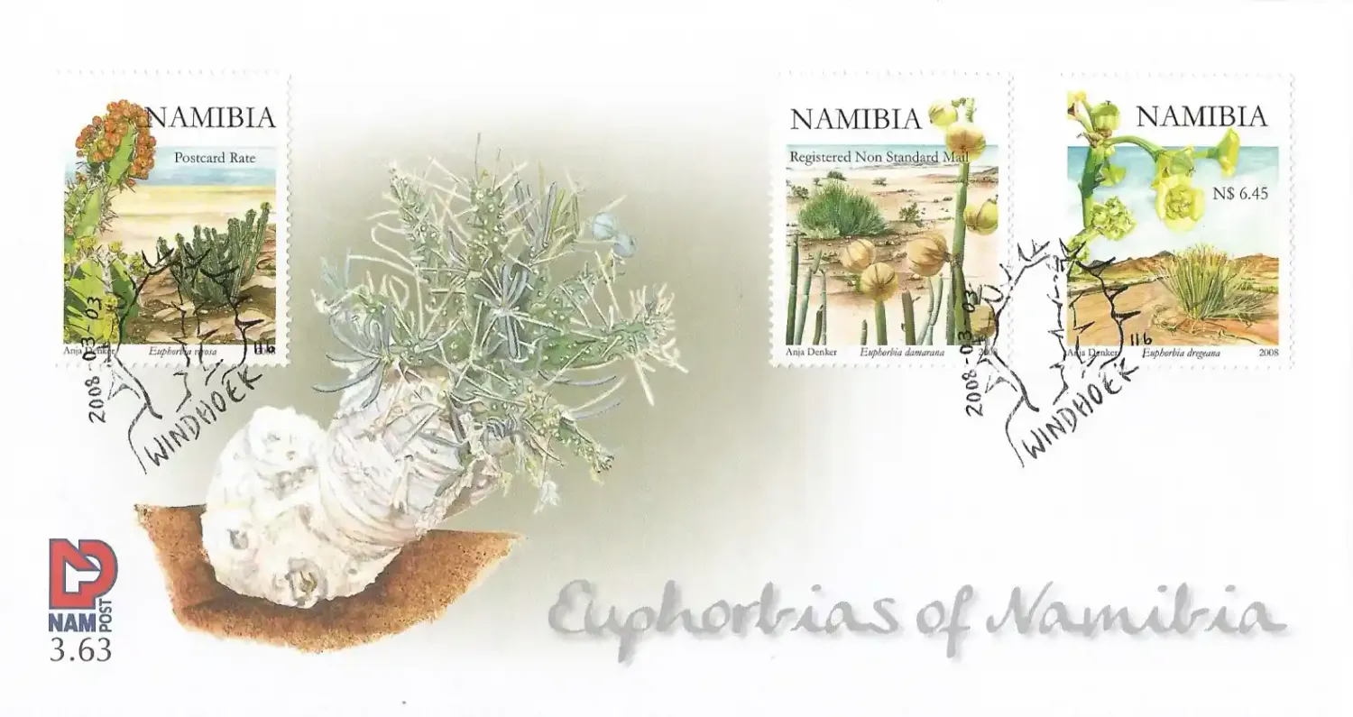 Namibia	2008 Euphorbia Flowers