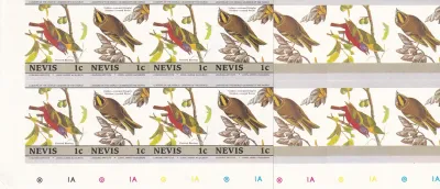 Nevis 1985 Birds - 1c Progressive Colour Proof Blocks. MNH Nevis 1985 Birds - 1c Progressive Colour Proof Blocks. MNH