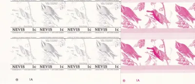 Nevis 1985 Birds - 1c Progressive Colour Proof Blocks. MNH