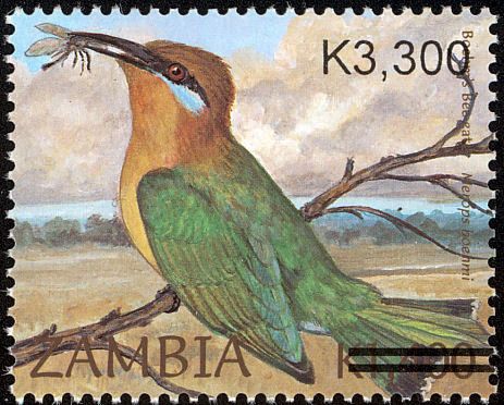 Zambia 2007 Mi. 1589 – Overprinted / Birds, Bee-eater. MNH