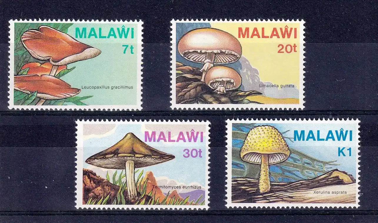 Malawi 1985 Fungi, Mushrooms. MNH