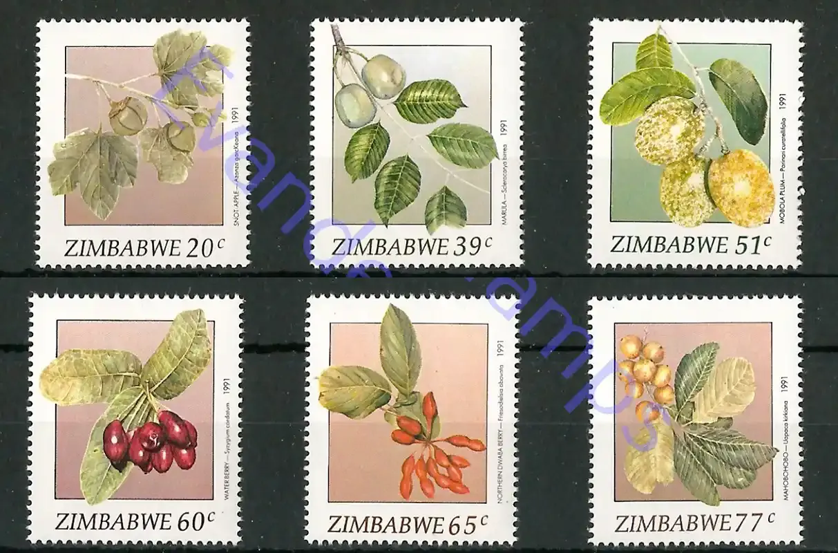 Zimbabwe 1991 Wild Fruit, Flora #1 - MNH**