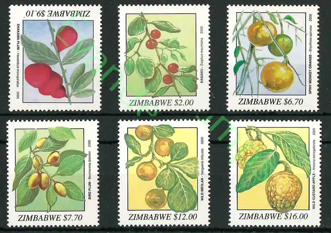 Zimbabwe 2000 Wild Fruit, Flora #2, Flora - MNH**