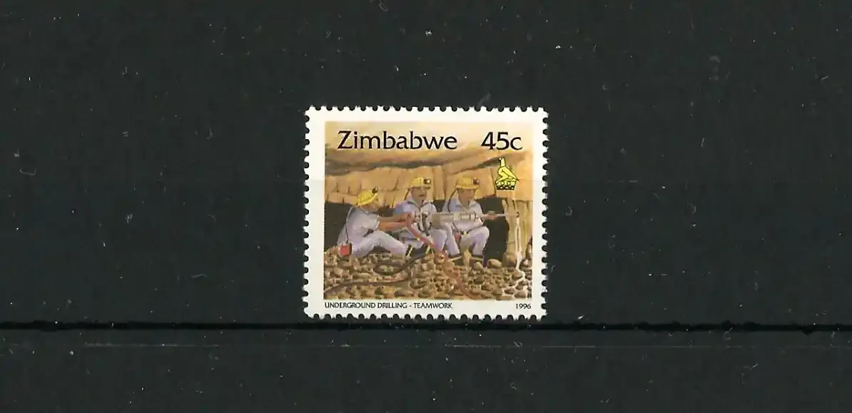 Zimbabwe 1996 Defs/Local Culture - 45c (1v) - MNH**