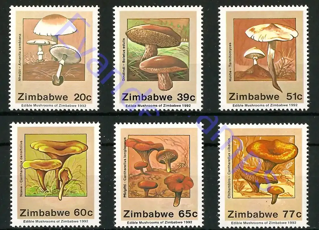 Zimbabwe 1992 Edible Mushrooms - MNH**