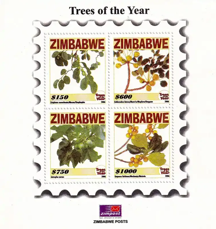 Zimbabwe 2006 Trees (ss/4v) - MNH** Zimbabwe 2006 Trees (ss/4v) - MNH**