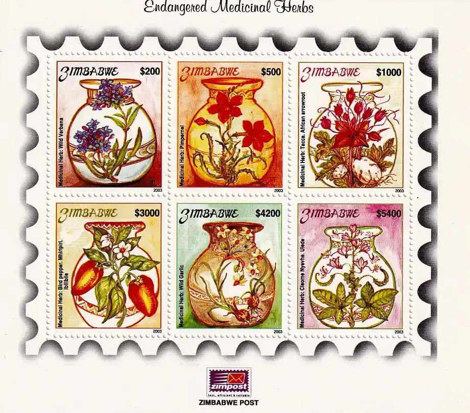 Zimbabwe 2003 Medicinal Plants (ss/6v) - MNH**