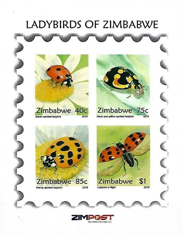 Zimbabwe 2018 Insects/Ladybugs (ss) - MNH** Zimbabwe 2018 Insects/Ladybugs (ss) - MNH**