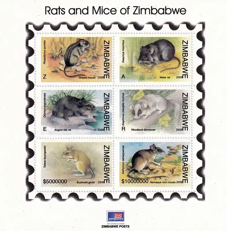 Zimbabwe 2008 Year of the Rat (ss/6v) - MNH** Zimbabwe 2008 Year of the Rat (ss/6v) - MNH**