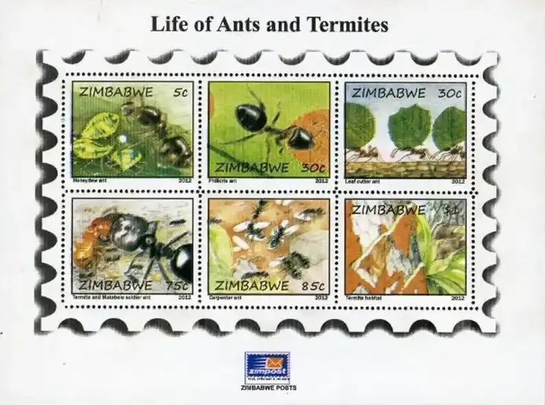 Zimbabwe 2012 Life of Ants & Termites (ss/6v) - MNH** Zimbabwe 2012 Life of Ants & Termites (ss/6v) - MNH**