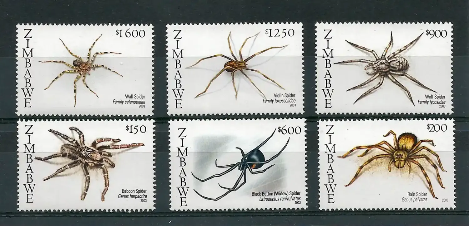 Zimbabwe 2003 Spiders - MNH** Zimbabwe 2003 Spiders - MNH**