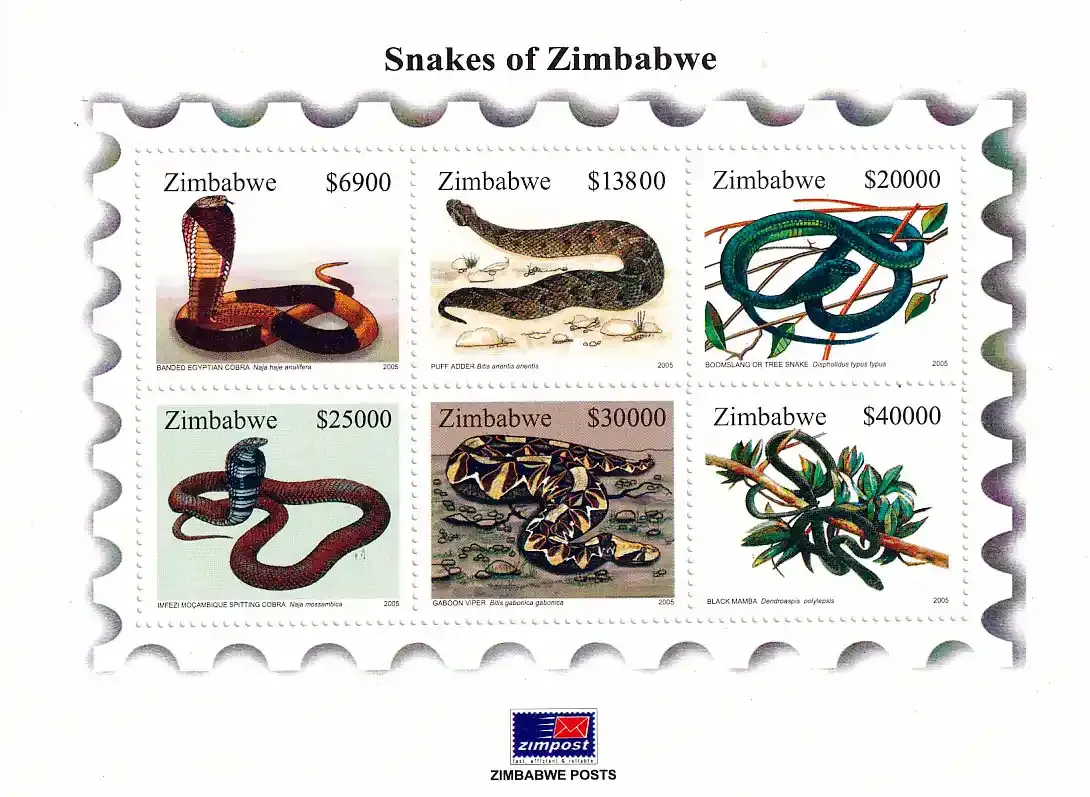 Zimbabwe 2005 Snakes (ss/6v) - MNH** Zimbabwe 2005 Snakes (ss/6v) - MNH**