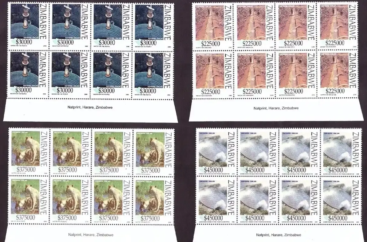 Zimbabwe 2006 Water Conservation (Imprint Blocks 8v) - MNH**