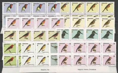 Zimbabwe 2005 Defs/Birds #1 - (Imprint Blocks 8v)- MNH**