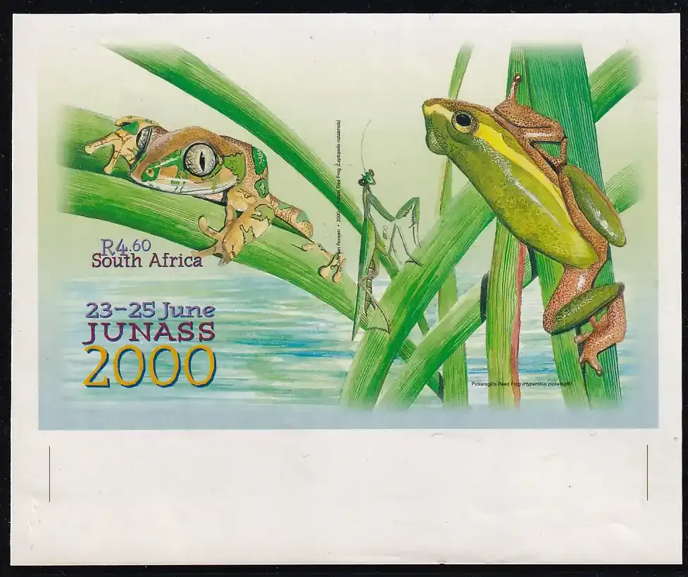 South Africa 2000 JUNASS 2000 National Junior Stamp Show, Boksburg (Variety). Imperf, Scarce. MNH