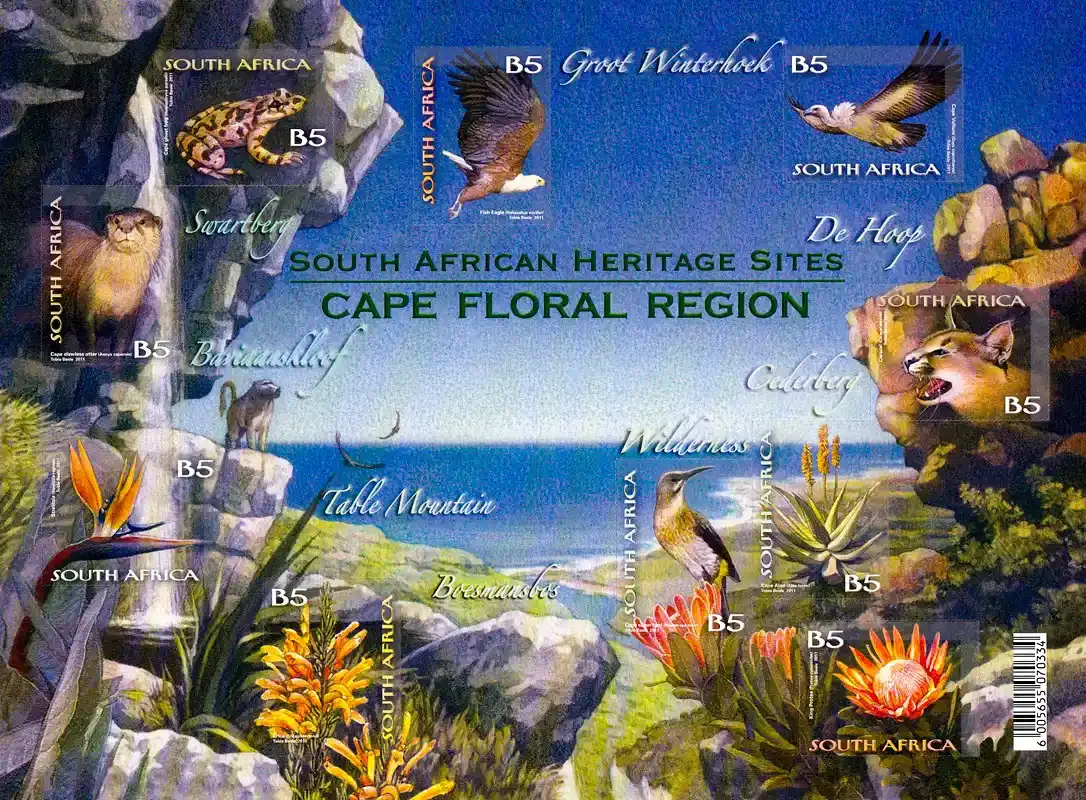South Africa 2011 Heritage Site/Cape Floral Region (sa) (ss/10v) - MNH(**)