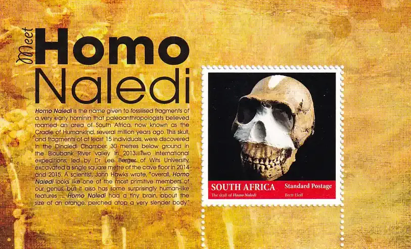 South Africa 2017 Homo Naledi Skull (ss) - MNH(**)