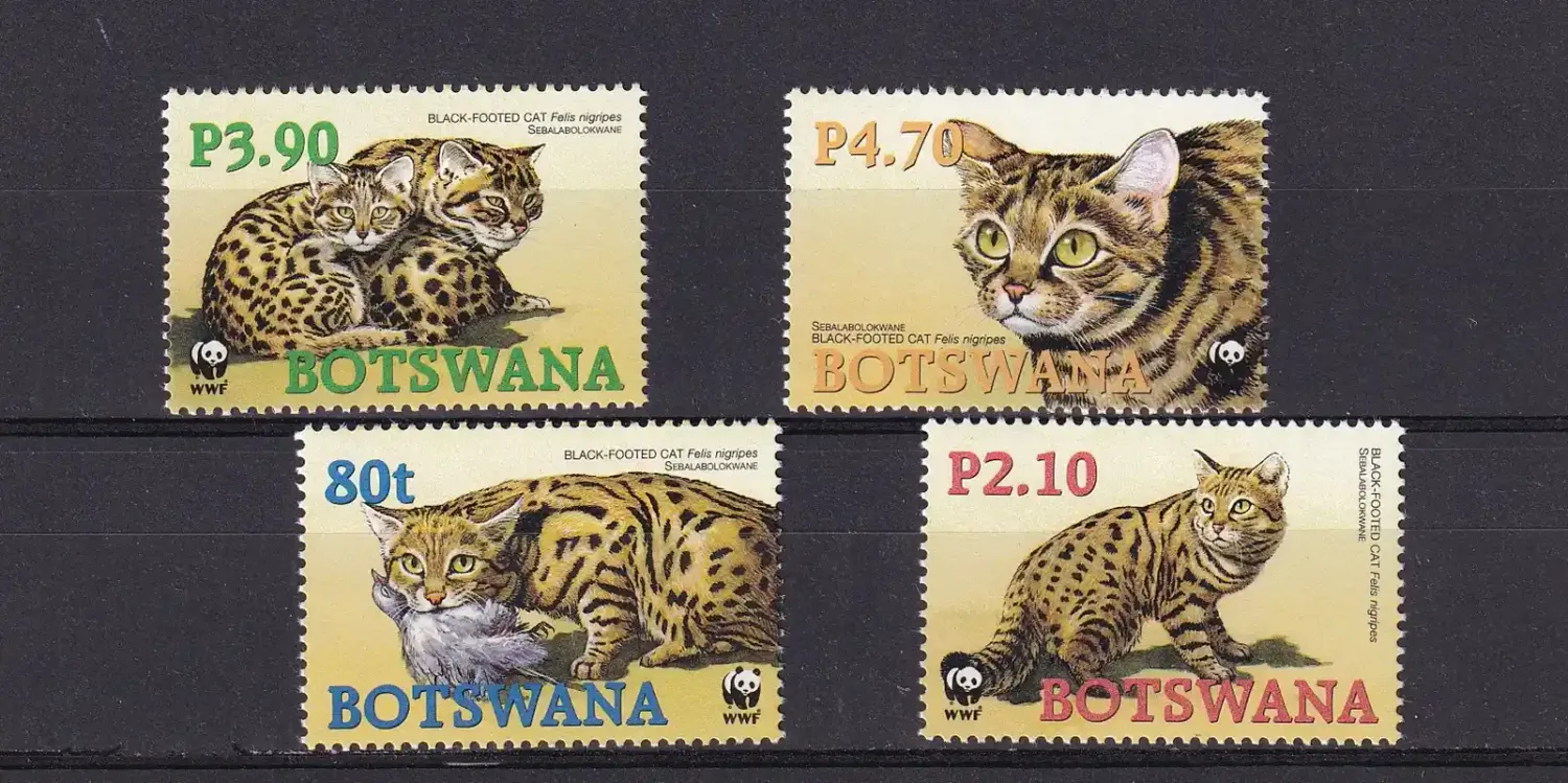 Botswana 2005 WWF/Black-Footed Cat-MNH(**)