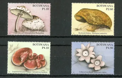 Botswana 2007 Mushrooms-MNH(**)