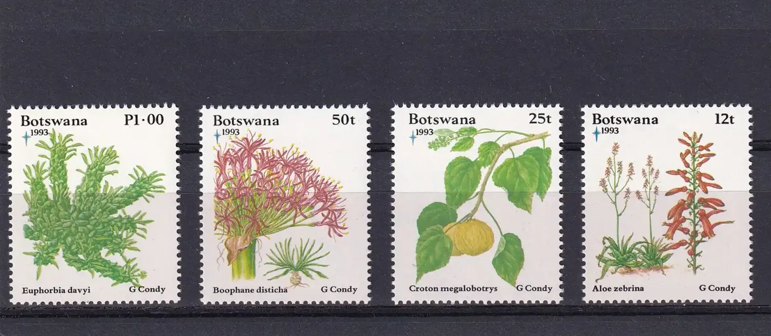 Botswana 1993 Christmas/Flora-MNH(**)