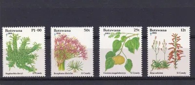 Botswana 1993 Christmas/Flora-MNH(**)
