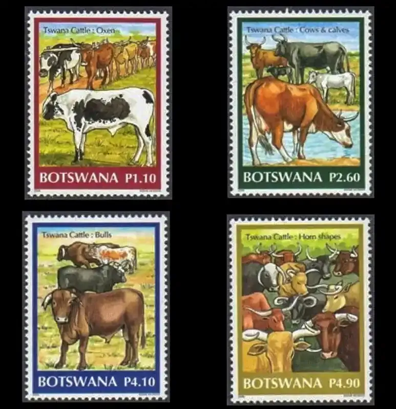 Botswana 2006 Tswana Cattle-MNH(**)