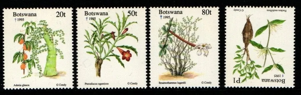 Botswana 1995 Christmas/Plants-MNH(**)
