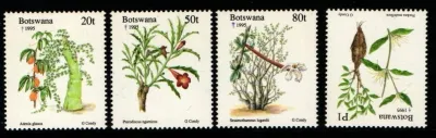 Botswana 1995 Christmas/Plants-MNH(**)