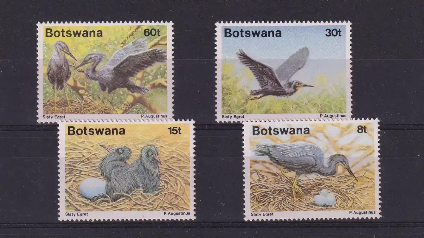 Botswana 1989 Heron/Birds-MNH(**)
