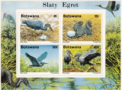 Botswana 1989 Heron/Birds (ss/4v)-MNH(**) Botswana 1989 Heron/Birds (ss/4v)-MNH(**)