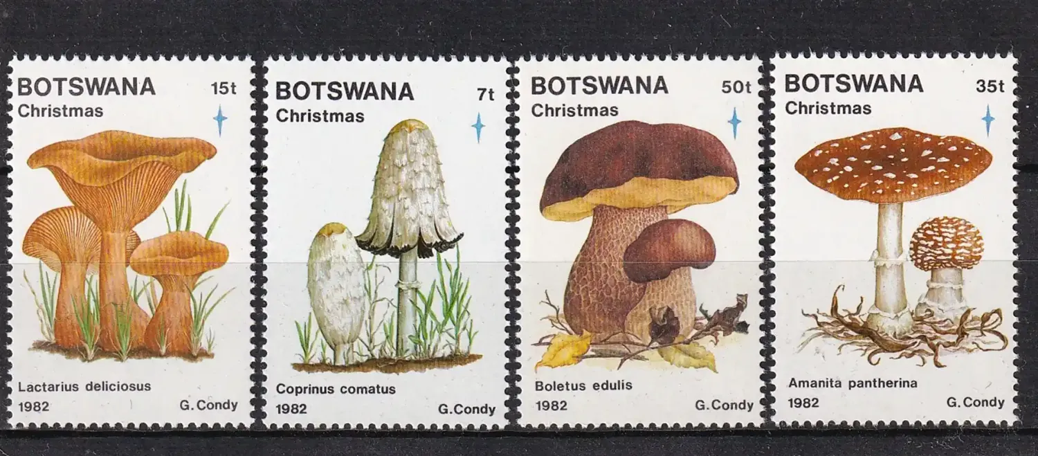 Botswana 1982 Christmas/Mushrooms-MNH(**)