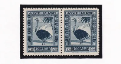 Italian Somaliland 1932 Local Motives, Bird Ostrich. MNH Italian Somaliland 1932 Local Motives, Bird Ostrich. MNH