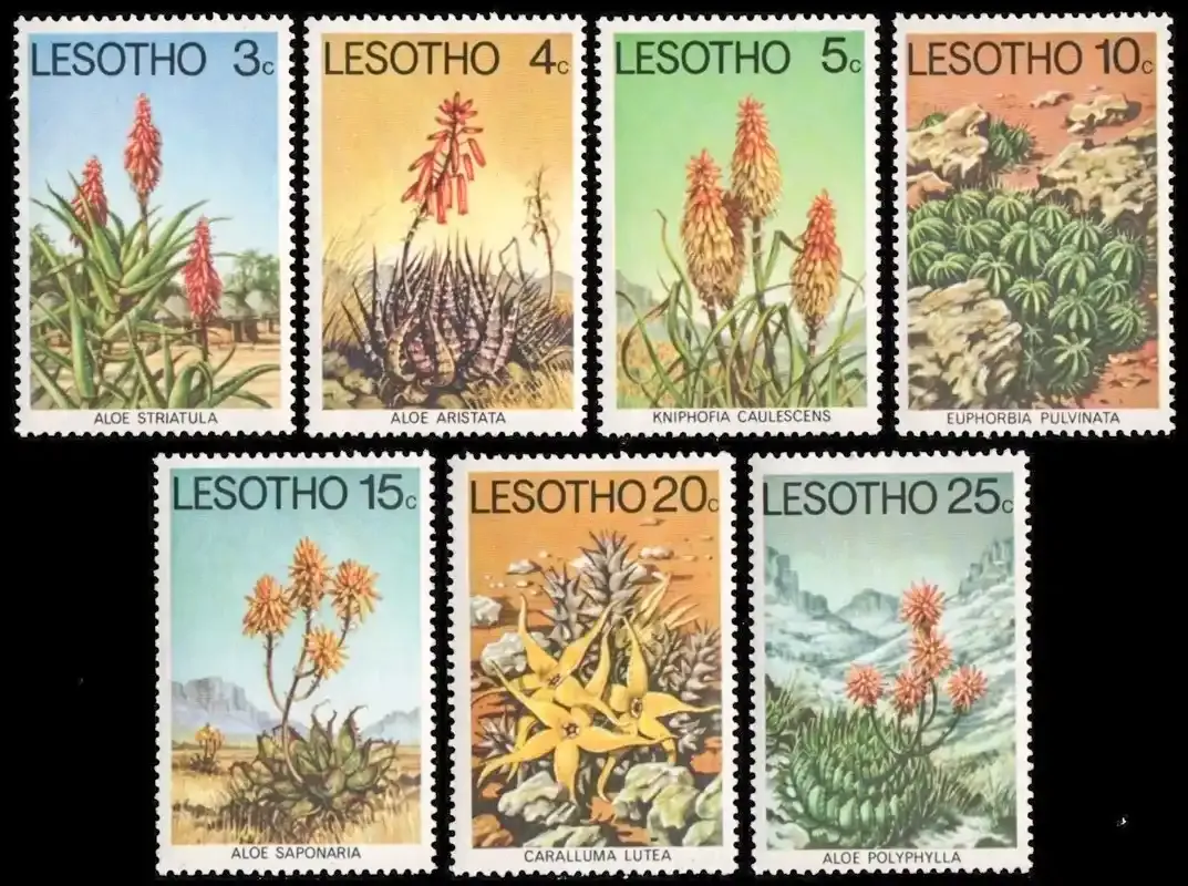 Lesotho 1977 Aloes and Succulents-MNH(**)