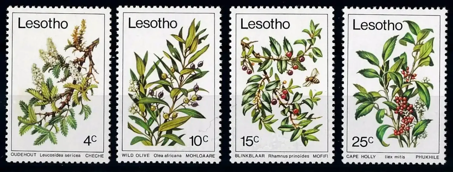 Lesotho 1979 Trees-MNH(**) Lesotho 1979 Trees-MNH(**)